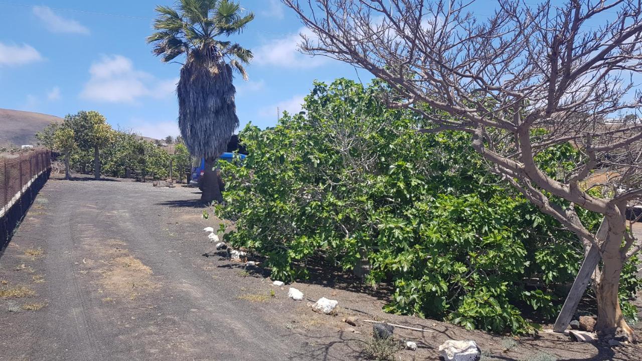 Finca Relax, Sea View, Oasis Vasiliko, La Asomada Тіас Екстер'єр фото